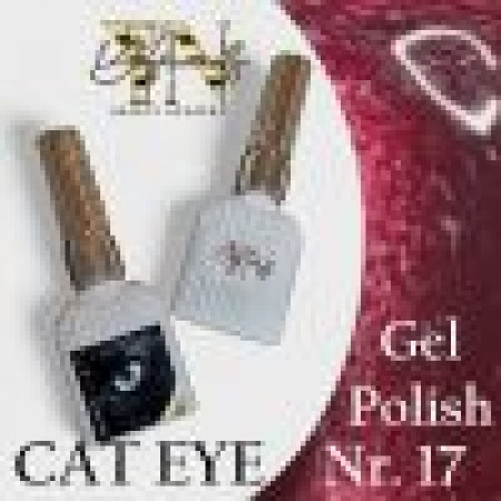 Cat eye Gel polish 15ml Nr.17